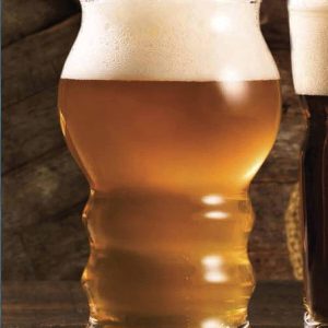 4'lü Craft Bira Bardaği 420685