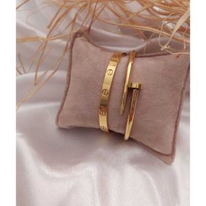 Suwar Accessory Çivi Ve Cartier Çelik Bileklik Set