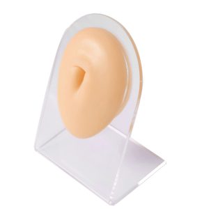 CHUANCI Soft Silicone Flexible Model Body Part Displays for
