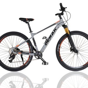 Derak 29 Inchs Formula Adults Bicycle 10 Speed Alloy & Hydr